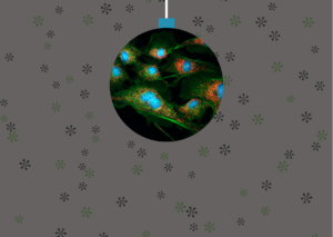 Vse dobro in uspešno v letu 2026!